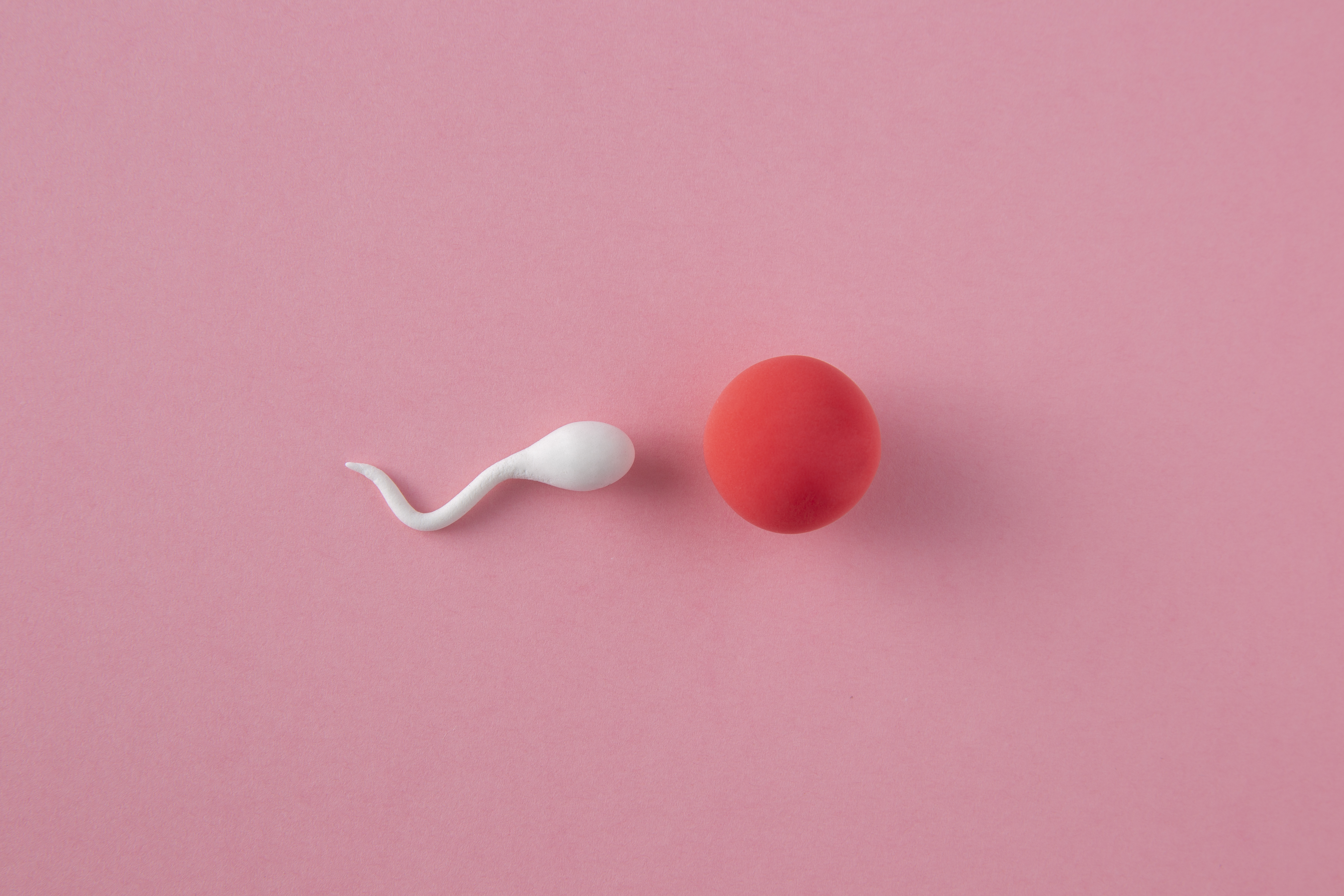 Low Sperm Count